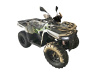 Квадроцикл Avantis (Авантис) ATV 300 Basic (A) (машинокомплект) - купить с доставкой, цены в интернет-магазине Мототека